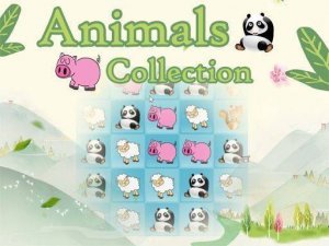 Animals Collection Puzzle Game Online Puzzle Game