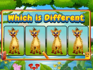 Which Is Different Animal Puzzle Game