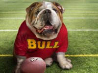 Funny Doggy Puzzle Online Game - Jigsaw Puzzle Game