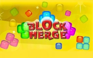 Block Merge Puzzle Challenge