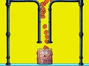 Kernel Catcher Challenge