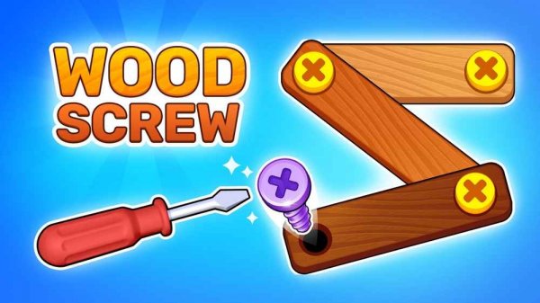 Wood Fastener Logic Puzzle