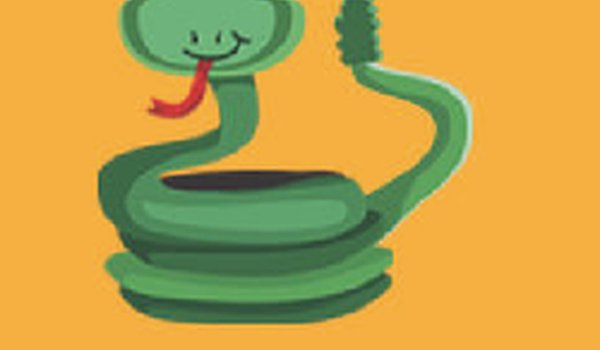 Snake Classic Arcade Puzzle